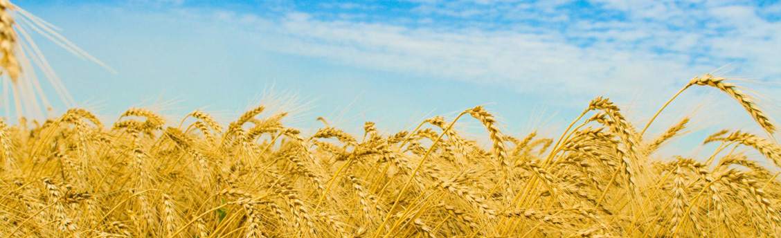 Доставка по всей Украине